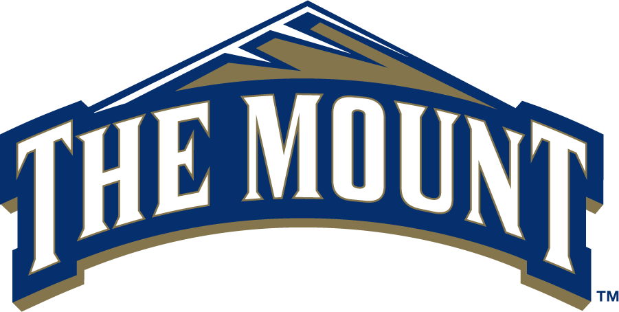 Mount St. Marys Mountaineers 2006-2016 Primary Logo DIY iron on transfer (heat transfer)